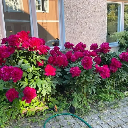 Idyllic Suite In The Heart Of Tammisaari Raseborg