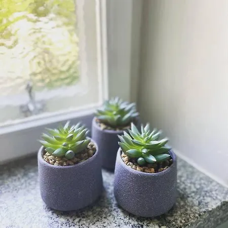 דירה Idyllic Suite In The Heart Of Tammisaari רסבורג